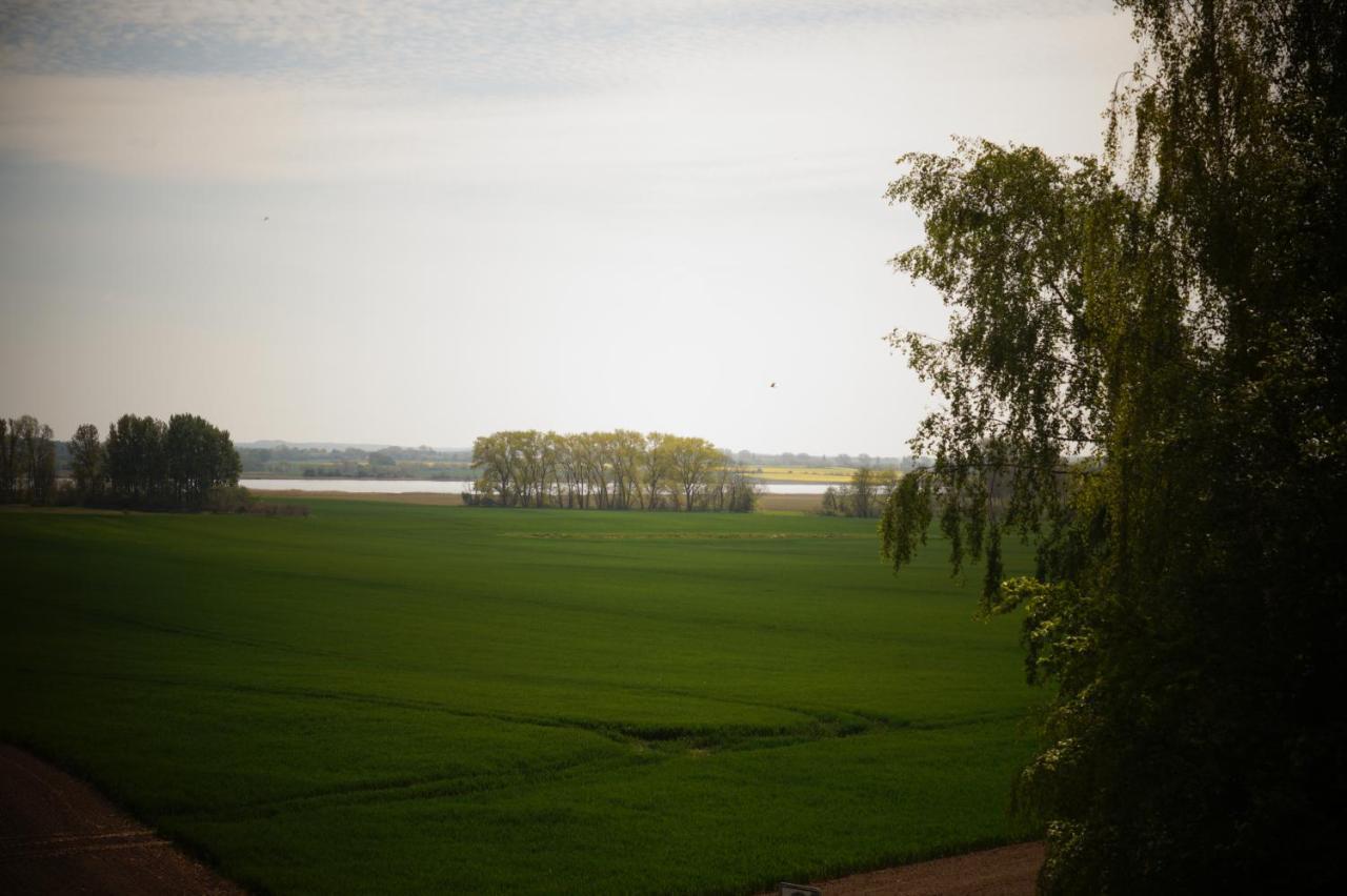 Ferienwohnung Ilsebill Gollwitz 外观 照片