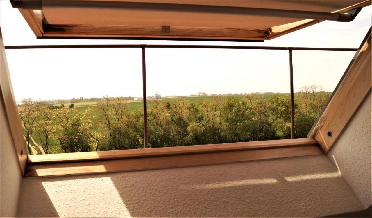 Ferienwohnung Ilsebill Gollwitz 外观 照片